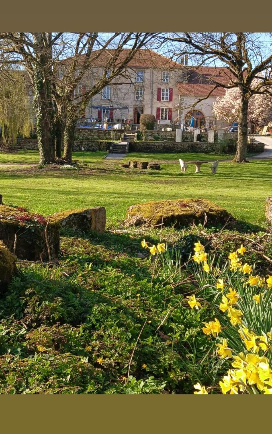 Le Domaine D'Elise Chambres Et Table D'Hotes - Vosges Saint-Ouen-les-Parey المظهر الخارجي الصورة
