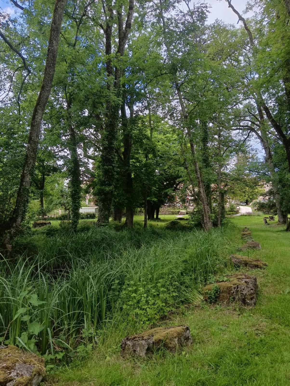 Le Domaine D'Elise Chambres Et Table D'Hotes - Vosges Saint-Ouen-les-Parey المظهر الخارجي الصورة