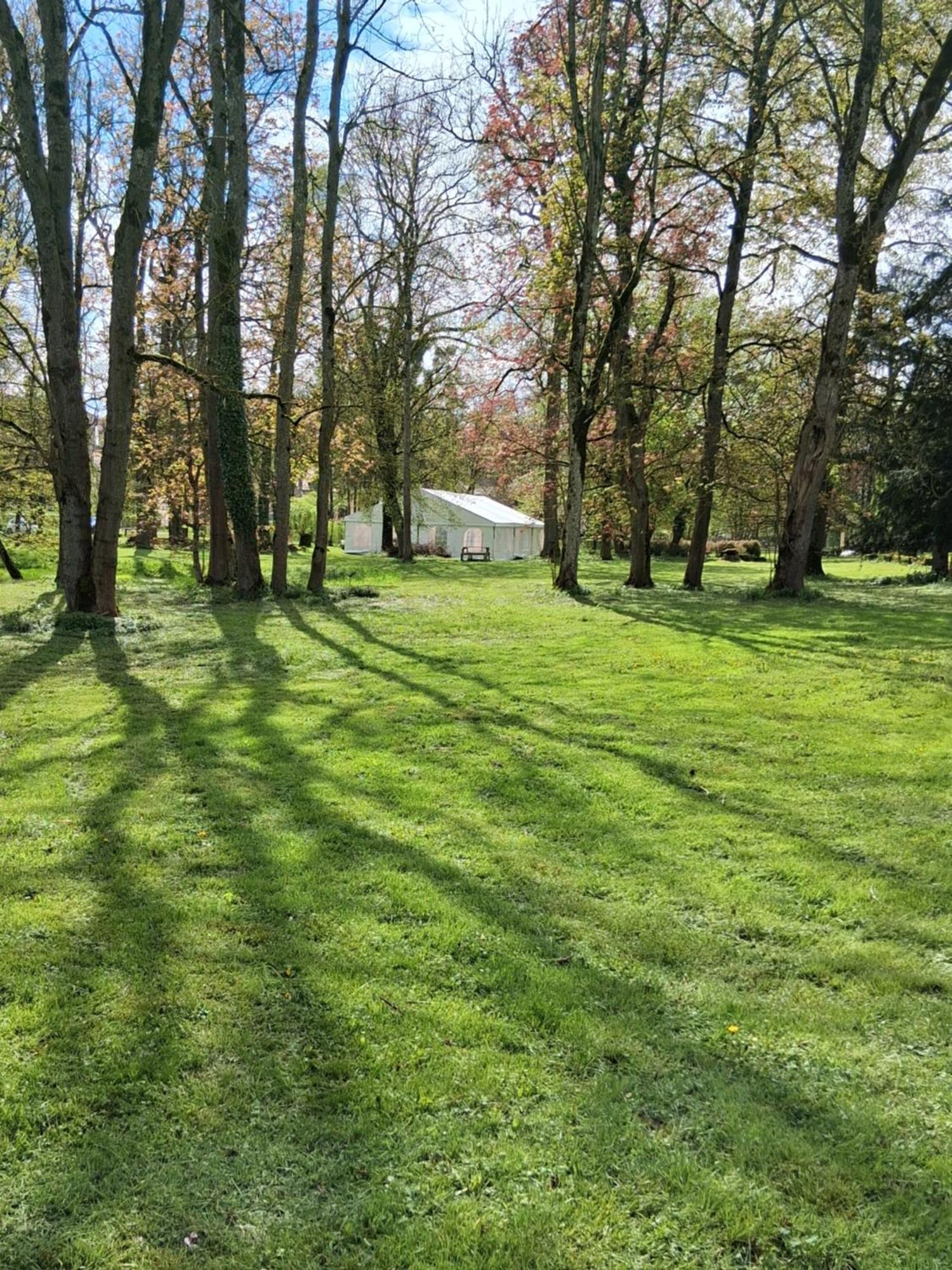 Le Domaine D'Elise Chambres Et Table D'Hotes - Vosges Saint-Ouen-les-Parey المظهر الخارجي الصورة